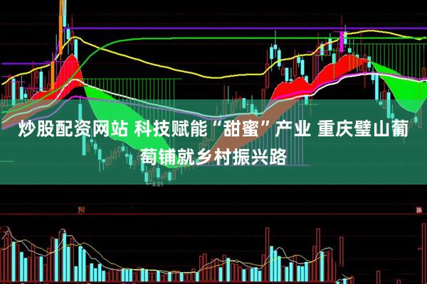 炒股配资网站 科技赋能“甜蜜”产业 重庆璧山葡萄铺就乡村振兴路