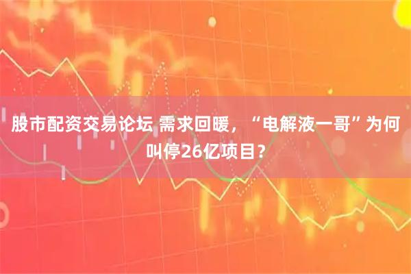 股市配资交易论坛 需求回暖，“电解液一哥”为何叫停26亿项目？
